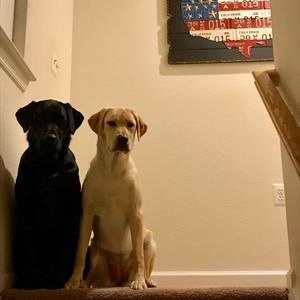 Meet your Posher, Brandon